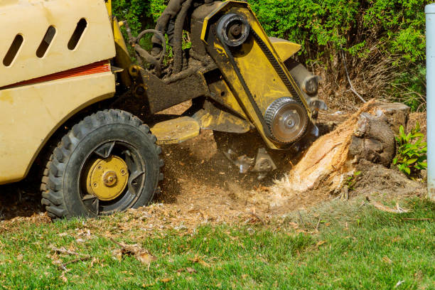 Fulda, MN Tree Services Company